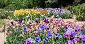 Benefits of Living in Montclair, NJ | Homes for Sale