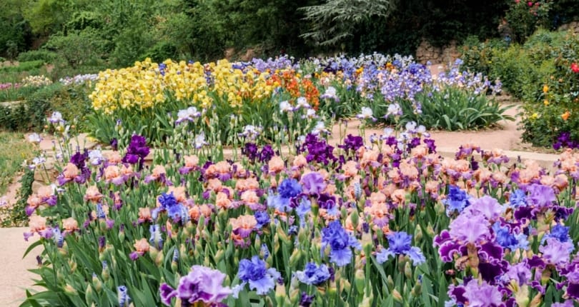 Benefits of Living in Montclair, NJ | Homes for Sale