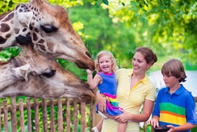 Why Say Yes to Living in West Orange, NJ?