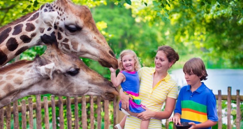 Why Say Yes to Living in West Orange, NJ?